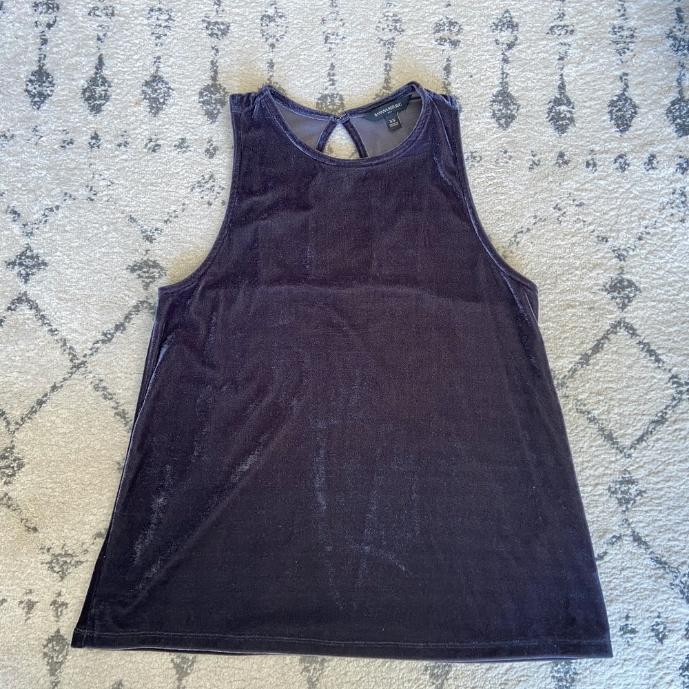 Blue Velvet Top